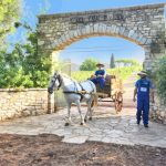 Achaia Clauss - Bike Friendly