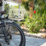 Bike in the garden