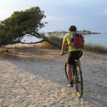 Cycling Tours 11