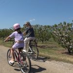 Pieria-Bike-Friendly-Destination-cycling-1