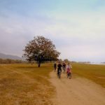 Cycle-Safari-Bike-Friendly-Partner-Lake-Kerkini-2